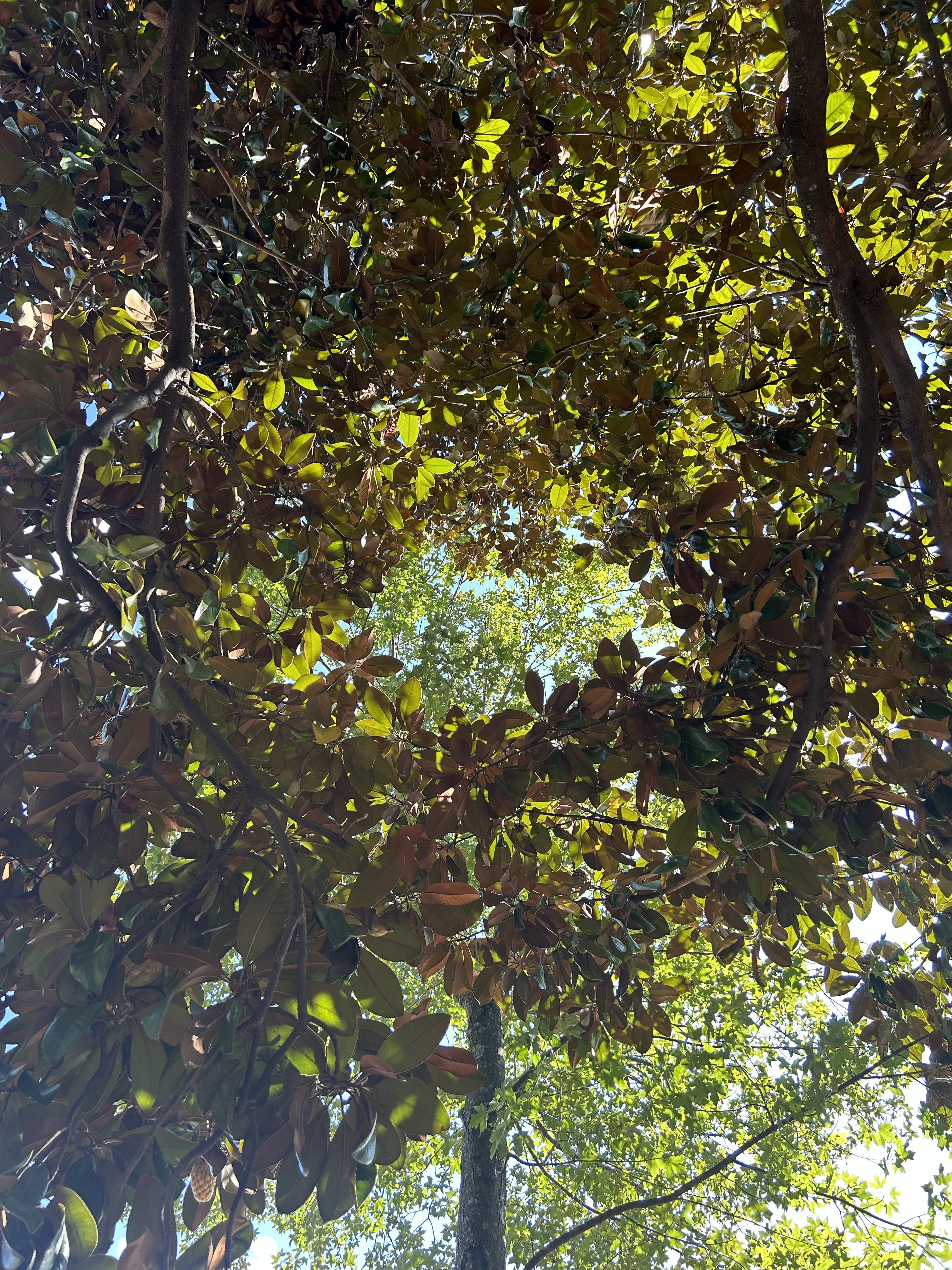 Leave the Grave of&nbsp;Success