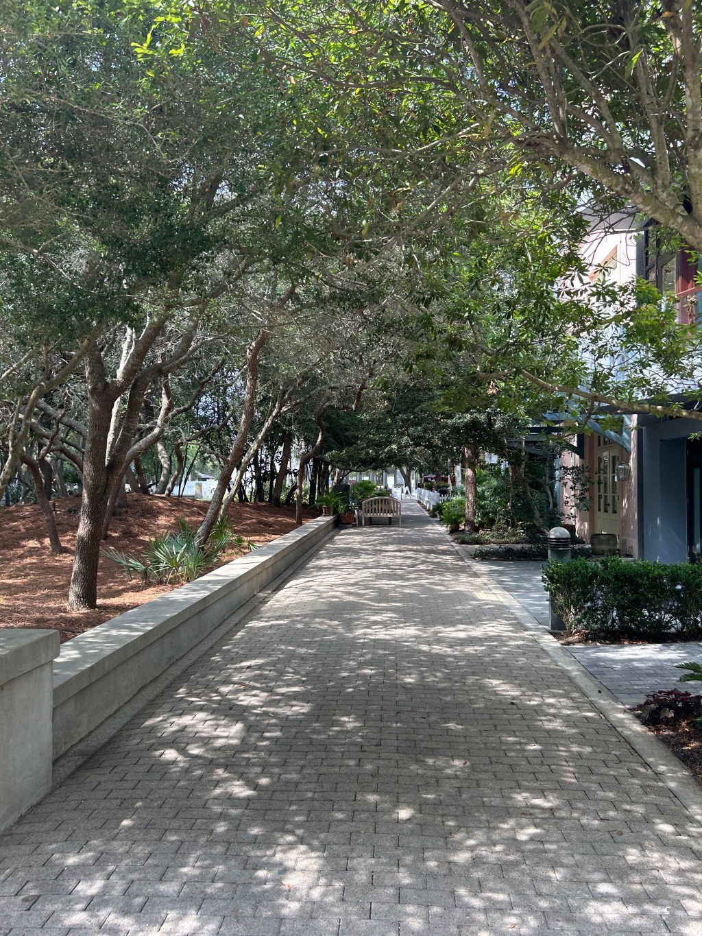 The Art of Exploring