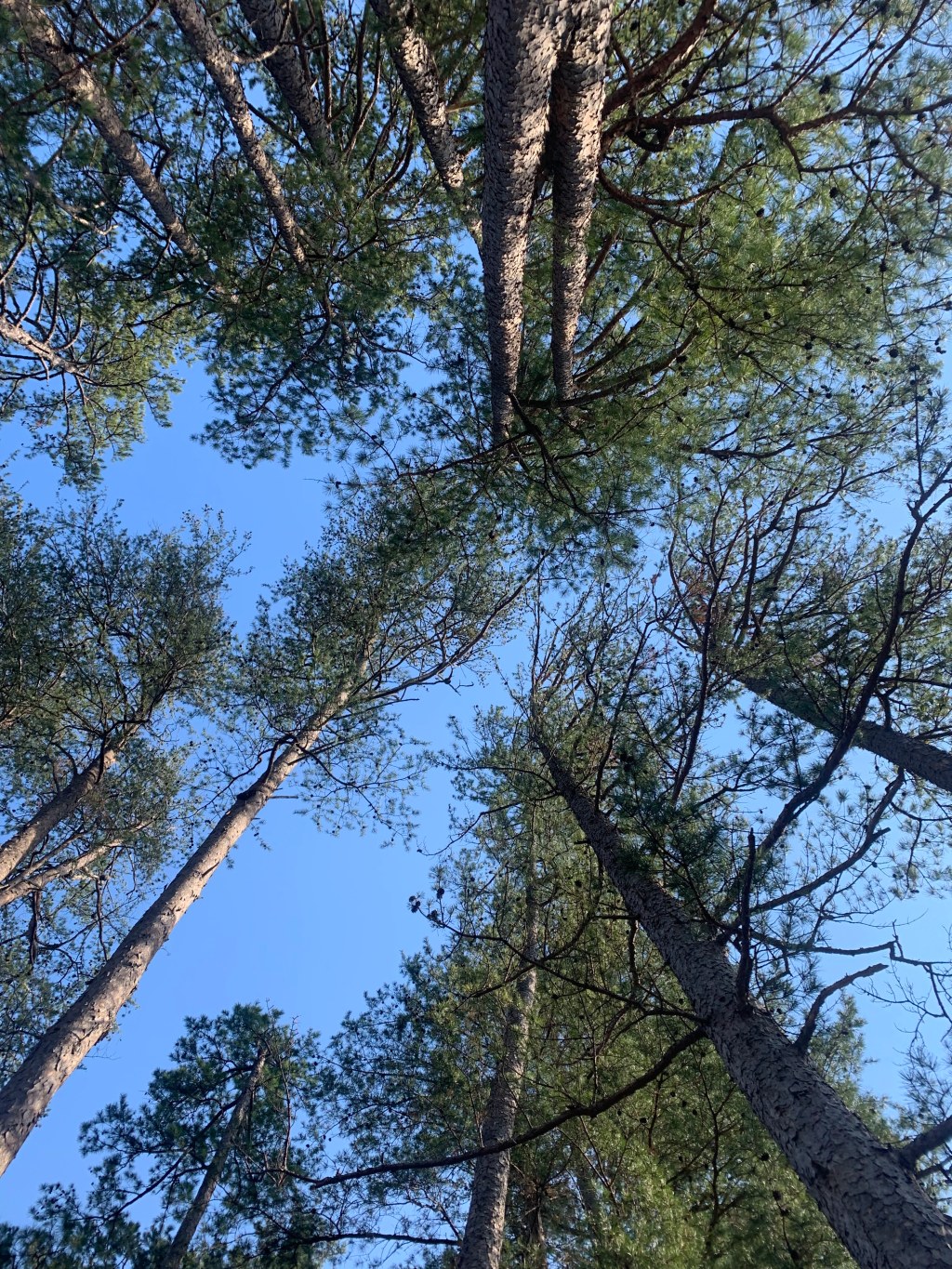 Take Your Weakness Seriously